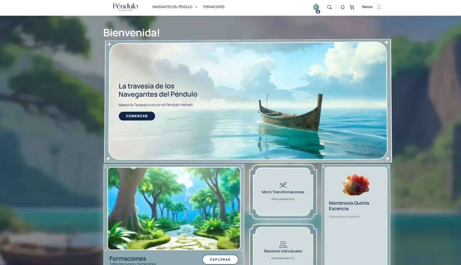 Onboarding (página de instrucciones)